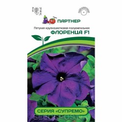 Петуния крупноцветковая полуампельная Супремо Флоренца F1 Партнер (82972): купить семена почтой в России | интернет-магазин Бекк