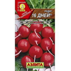 Редис 16 дней Аэлита (98504): купить семена почтой в России | интернет-магазин Беккер
