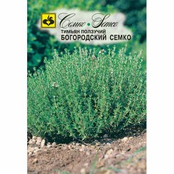 Тимьян (чабрец) Богородский Семко Семко (94273): купить семена почтой в России | интернет-магазин Беккер