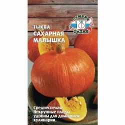 Тыква Сахарная малышка Седек (40537): купить семена почтой в России | интернет-магазин Беккер