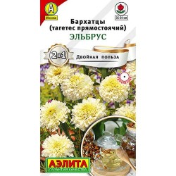 Бархатцы прямостоячий (тагетес) Эльбрус Аэлита (98875): купить семена почтой в России | интернет-магазин Беккер