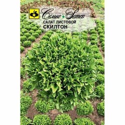 Салат листовой Скилтон Семко (94107): купить семена почтой в России | интернет-магазин Беккер