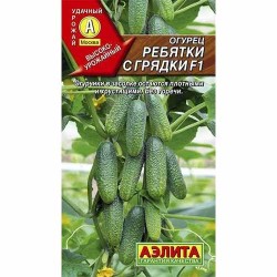 Огурец Ребятки с грядки F1 Аэлита (40139): купить семена почтой в России | интернет-магазин Беккер