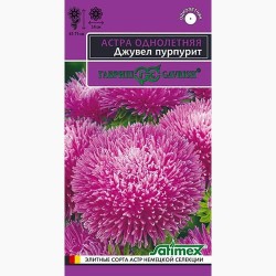 Астра игольчато-коготковая Джувел Пурпурит Гавриш (97580): купить семена почтой в России | интернет-магазин Беккер