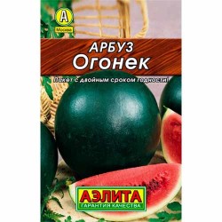 Арбуз Огонек Аэлита (40003): купить семена почтой в России | интернет-магазин Беккер