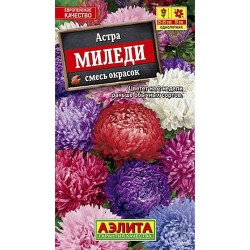 Астра Миледи, смесь окрасок Аэлита (98834): купить семена почтой в России | интернет-магазин Беккер