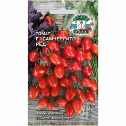 Томат Самчеррито ред F1 Седек (40506): купить семена почтой в России | интернет-магазин Беккер