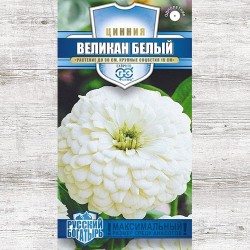 Цинния Великан белый Гавриш (71268): купить семена почтой в России | интернет-магазин Беккер