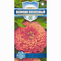 Цинния Великан лососевый Гавриш (71271): купить семена почтой в России | интернет-магазин Беккер