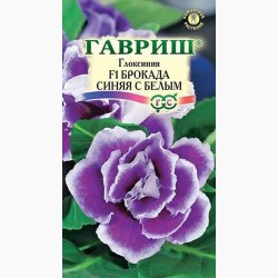 Глоксиния Брокада синяя с белым F1 Гавриш (97672): купить семена почтой в России | интернет-магазин Беккер