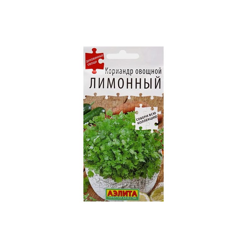Кориандр (кинза) Лимонный Аэлита (98302): купить семена почтой в России | интернет-магазин Беккер Кориандр (кинза) Лимонный Аэлита (98302): купить семена почтой в России | интернет-магазин Беккер
