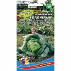 Капуста белокочанная Безразмерная Уральский дачник (74165): купить семена почтой в России | интернет-магазин Беккер