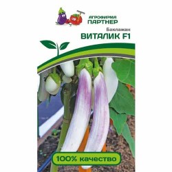 Баклажан Виталик F1 Партнер (92664): купить семена почтой в России | интернет-магазин Беккер