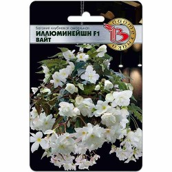 Бегония клубневая ампельная Иллюминейшн Вайт F1 Биотехника (84613): купить семена почтой в России | интернет-магазин Беккер