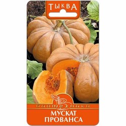 Тыква Мускат прованса Биотехника (83152): купить семена почтой в России | интернет-магазин Беккер