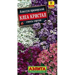 Алиссум Клеа кристал, смесь окрасок Аэлита (40264): купить семена почтой в России | интернет-магазин Беккер