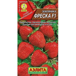 Земляника ремонтантная крупноплодная Фреска F1 Аэлита (98239): купить семена почтой в России | интернет-магазин Беккер