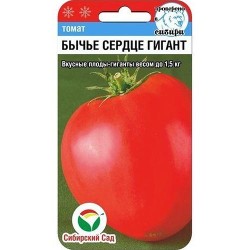 Томат Бычье сердце гигант Сибирский сад (94400): купить семена почтой в России | интернет-магазин Беккер