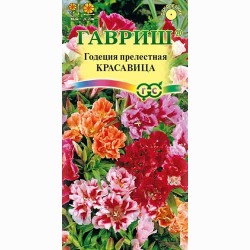 Годеция махровая Красавица. смесь окрасок Гавриш (66062): купить семена почтой в России | интернет-магазин Беккер