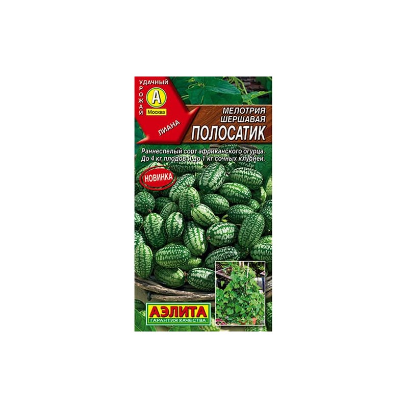 Мелотрия Полосатик Аэлита (98336): купить семена почтой в России | интернет-магазин Беккер Мелотрия Полосатик Аэлита (98336): купить семена почтой в России | интернет-магазин Беккер
