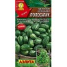 Мелотрия Полосатик Аэлита (98336): купить семена почтой в России | интернет-магазин Беккер