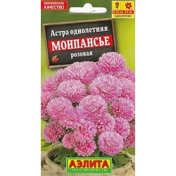 Астра Монпансье розовая Аэлита (98854): купить семена почтой в России | интернет-магазин Беккер