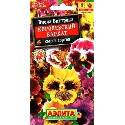 Виола Виттрока Королевский бархат, смесь окрасок Аэлита (98903): купить семена почтой в России | интернет-магазин Беккер