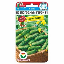 Огурец Всепогодный Герой F1 Сибирский сад (88102): купить семена почтой в России | интернет-магазин Беккер