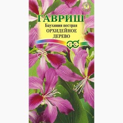 Баухиния пурпурная Орхидейное дерево  Гавриш (97606): купить семена почтой в России | интернет-магазин Беккер