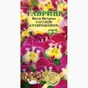 Виола Виттрока Кул Вейв клубничный вихрь F1 Гавриш (97633): купить семена почтой в России | интернет-магазин Беккер