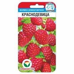 Малина Краснодевица Сибирский сад (88112): купить семена почтой в России | интернет-магазин Беккер