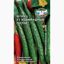 Огурец Изумрудный поток F1 Седек (98035): купить семена почтой в России | интернет-магазин Беккер
