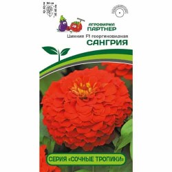 Цинния георгиновидная Сочные тропики Сангрия F1 Партнер (84828): купить семена почтой в России | интернет-магазин Беккер