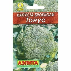 Капуста брокколи Тонус Аэлита (40064): купить семена почтой в России | интернет-магазин Беккер