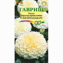 Бархатцы прямостоячие (тагетес) Килиманджаро F1 Гавриш (91965): купить семена почтой в России | интернет-магазин Беккер
