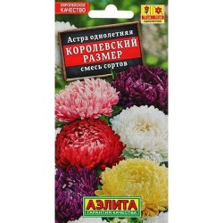 Астра Королевский размер, смесь окрасок Аэлита (98847): купить семена почтой в России | интернет-магазин Беккер