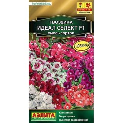 Гвоздика гибридная Идеал селект F1, смесь окрасок Аэлита (40326): купить семена почтой в России | интернет-магазин Беккер