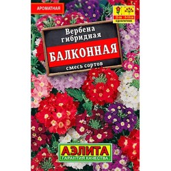 Вербена гибридная Балконная, смесь окрасок Аэлита (98895): купить семена почтой в России | интернет-магазин Беккер