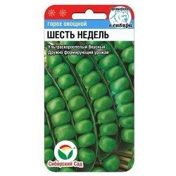 Горох 6 недель Сибирский сад (82798): купить семена почтой в России | интернет-магазин Беккер