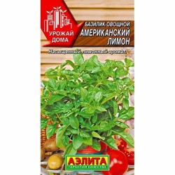 Базилик Американский лимон Аэлита (40007): купить семена почтой в России | интернет-магазин Беккер