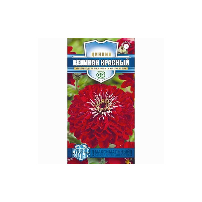 Цинния Великан красный Гавриш (71270): купить семена почтой в России | интернет-магазин Беккер