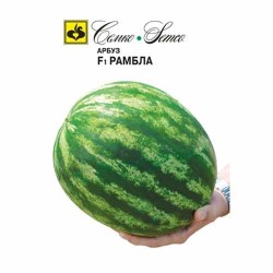 Арбуз Рамбла F1 Семко (94228): купить семена почтой в России | интернет-магазин Беккер