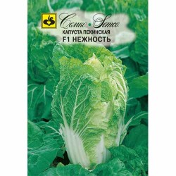 Капуста пекинская Нежность F1 Семко (40553): купить семена почтой в России | интернет-магазин Беккер