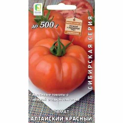 Томат Алтайский красный, семена (97855): купить семена почтой в России | интернет-магазин Беккер