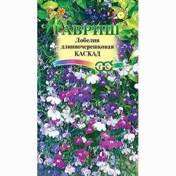Лобелия ампельная Каскад, смесь окрасок Гавриш (66088): купить семена почтой в России | интернет-магазин Беккер