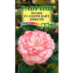 Бегония клубневая Амери Вайт Пикоти F1 Гавриш (87916): купить семена почтой в России | интернет-магазин Беккер