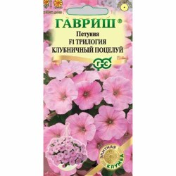 Петуния ампельная Трилогия Клубничный поцелуй F1 Гавриш (87983): купить семена почтой в России | интернет-магазин Беккер