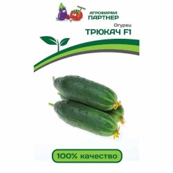 Огурец Трюкач F1 Партнер (83105): купить семена почтой в России | интернет-магазин Беккер