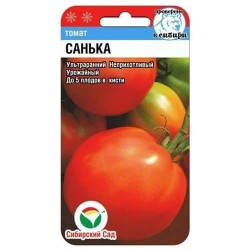 Томат Санька Сибирский сад (82910): купить семена почтой в России | интернет-магазин Беккер