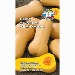Тыква мускатная Жемчужина Седек (84928): купить семена почтой в России | интернет-магазин Беккер